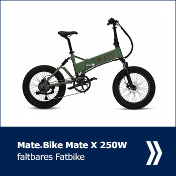 Mate X E-Bike